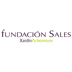 Fundación Sales